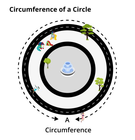 circumference of a park